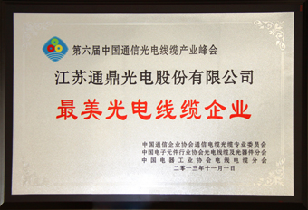 3-20131105最美光電線纜企業