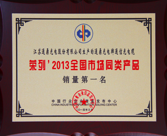 1-2013年同類市場產品銷量第一牌匾